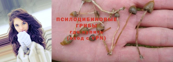 ECSTASY Абинск
