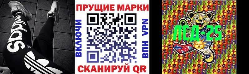 где купить наркоту  Подпорожье  Марки NBOMe 1500мкг 